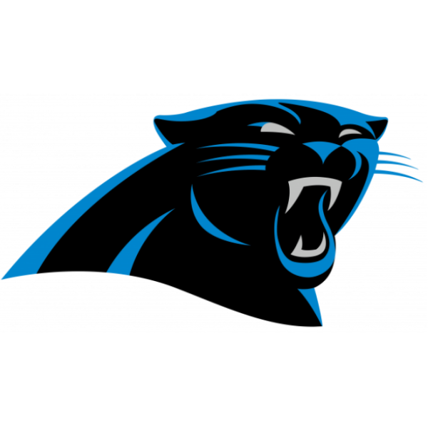 Carolina Panthers Jersey